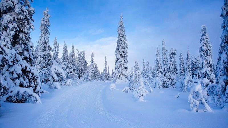 Ралли Швеция двинется на север в поисках снега в 2021 году